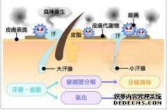 大连引起腋臭的常见致病原因有哪些